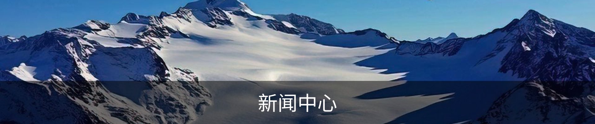 服务项目